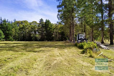 229 Elephant Pass Rd, St Marys, TAS 7215