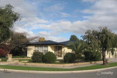 12 Griffiths St, Henley Beach, SA 5022