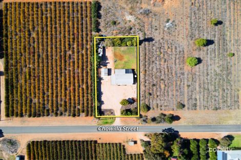 Property photo of 479 Chowilla Street Renmark West SA 5341