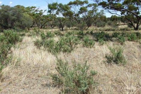 15 Tank St, Grass Valley, WA 6403