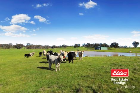 Property photo of 30 Hildebrandt Rise Axe Creek VIC 3551