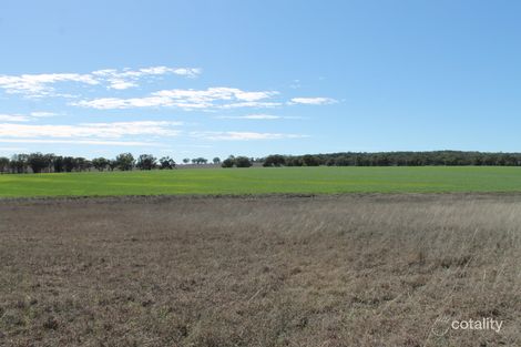 426 Onus Rd, Gum Flat, NSW 2360