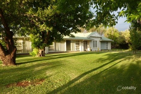 668 Tarcoola St, Renmark West, SA 5341