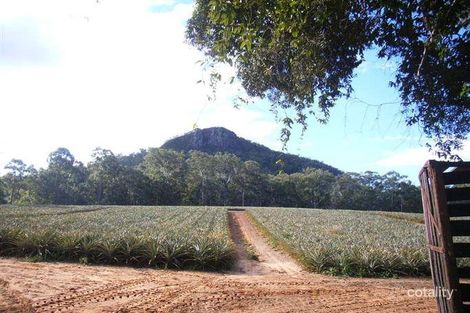 242 Coonowrin Rd, Glass House Mountains, QLD 4518