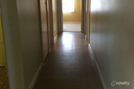 Property photo of 7 Violet Street Bendigo VIC 3550