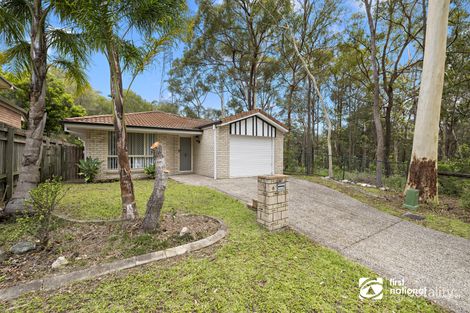 Property photo of 6 Kuranda Close Capalaba QLD 4157