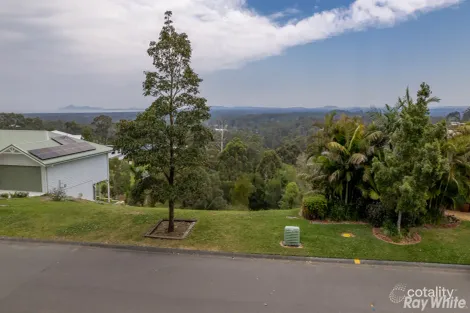 233 Tallwood Dr, Rainbow Flat, NSW 2430