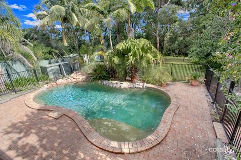 Property photo of 5 Cherana Crescent Forestville NSW 2087