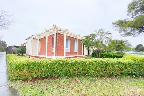 Property photo of 3 Gainsborough Drive Craigieburn VIC 3064