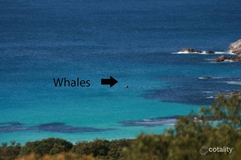 77 Ridgeway Dr, Bremer Bay, WA 6338