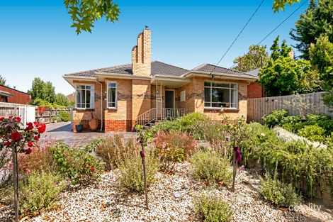 Property photo of 6 Grandview Grove Carnegie VIC 3163