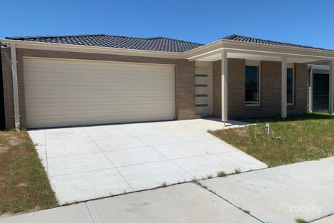 Property photo of 38 Bandicoot Circuit Longwarry VIC 3816