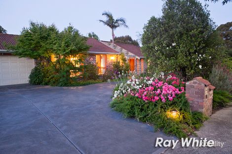 Property photo of 19 Yarralumla Drive Langwarrin VIC 3910