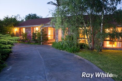 Property photo of 19 Yarralumla Drive Langwarrin VIC 3910