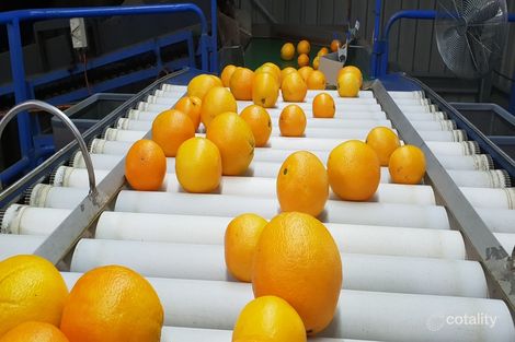 Property photo of 122 Shepherds Road Dirnbir QLD 4625