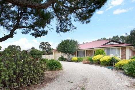 Property photo of 16 Archer Street Auburn SA 5451