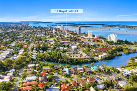 11 Royal Palm Ct, Southport, QLD 4215