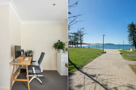 Property photo of 8/106 Oaks Avenue Dee Why NSW 2099