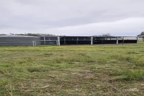 Property photo of 694 Sunnyside Loop Road Tenterfield NSW 2372