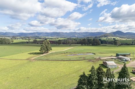 214 Mathinna Plains Rd, Ringarooma, TAS 7263