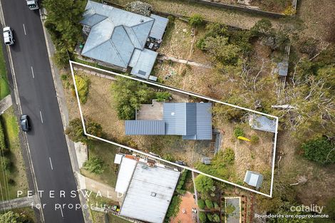 Property photo of 95 Springfield Avenue West Moonah TAS 7009