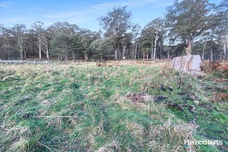 Lot 1 Gardiners Creek Rd, St Marys, TAS 7215