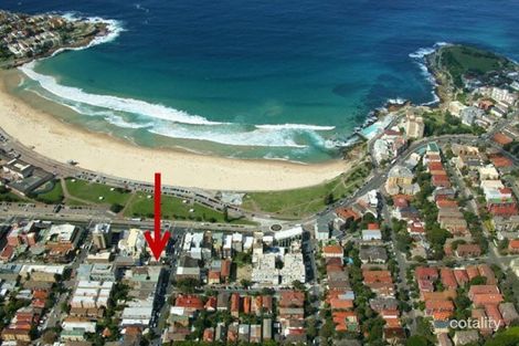 Property photo of 5/77 Gould Street Bondi Beach NSW 2026