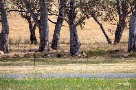 20 Loyola Dr, Mansfield, VIC 3722