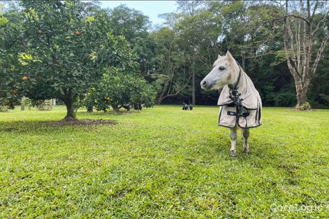 Property photo of 7 Gwen Court Landsborough QLD 4550
