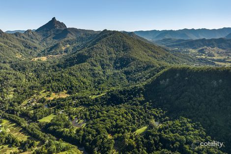 Property photo of 39 Solomons Road Mount Warning NSW 2484