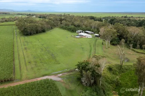 1107 Up River Rd, Foxdale, QLD 4800