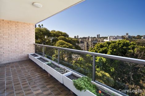 Property photo of 24/33 Waratah Street Rushcutters Bay NSW 2011