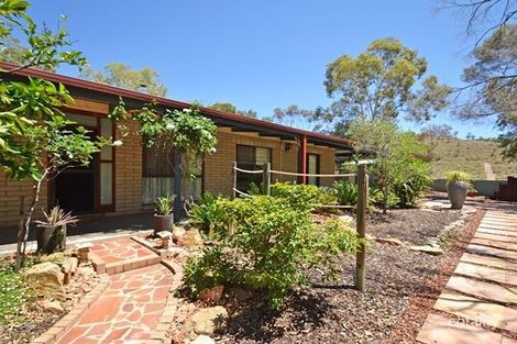 Property photo of 19 Murray Street Larapinta NT 0875