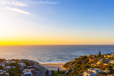 Property photo of 1/20 Illawong Avenue Tamarama NSW 2026