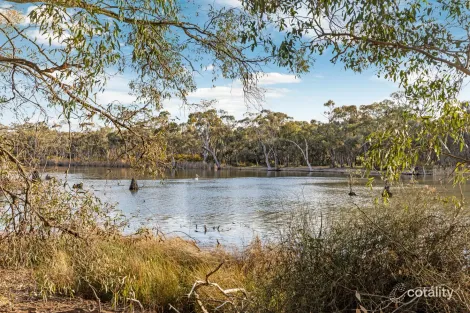 535 Thompsons Bridge Rd, Gunbower, VIC 3566