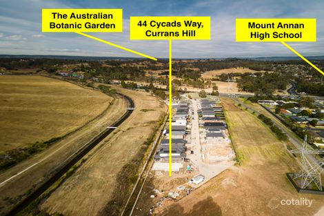 Property photo of 44 Cycads Way Currans Hill NSW 2567