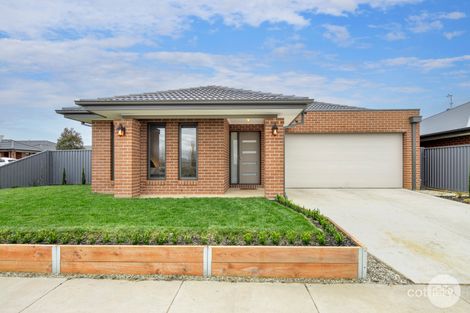 43 Vetrano Ave, Alfredton, VIC 3350