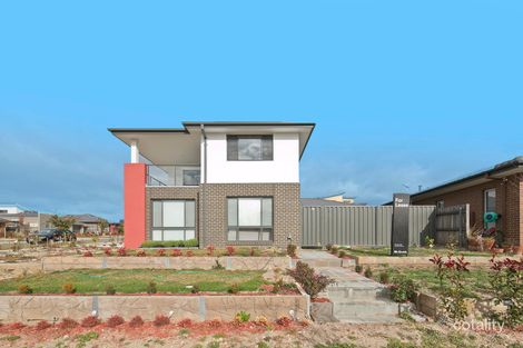 11 Catalano St, Wright, ACT 2611