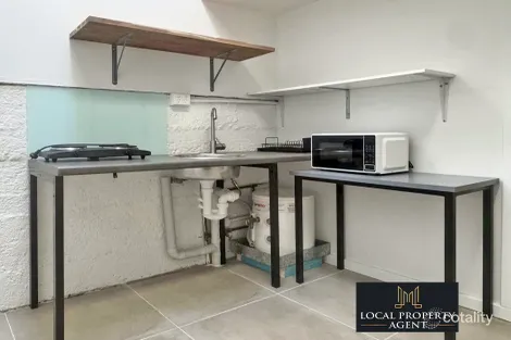 Property photo of 217 Marion Street Leichhardt NSW 2040