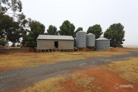 509 Wilga Plains Rd, Ungarie, NSW 2669