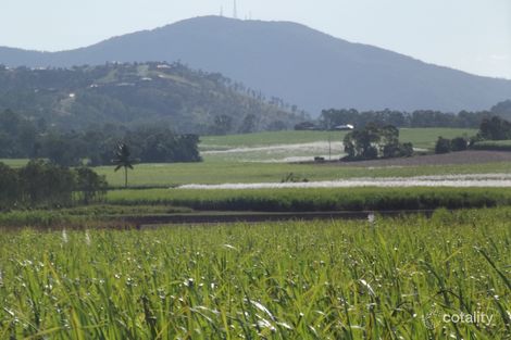 136 Nebia Conningsby Rd, Farleigh, QLD 4741