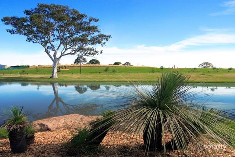 41 Highland Ct, Pie Creek, QLD 4570