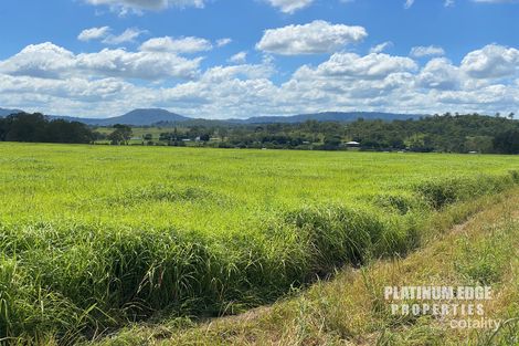 Property photo of 580 Oaky Creek Road Oaky Creek QLD 4285