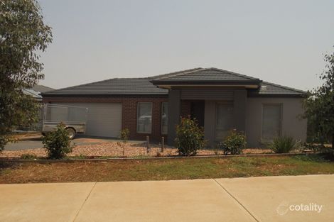 20 Crystal Rd, Cobblebank, VIC 3338