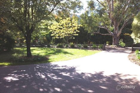 Property photo of 23 Ashwood Avenue Bright VIC 3741