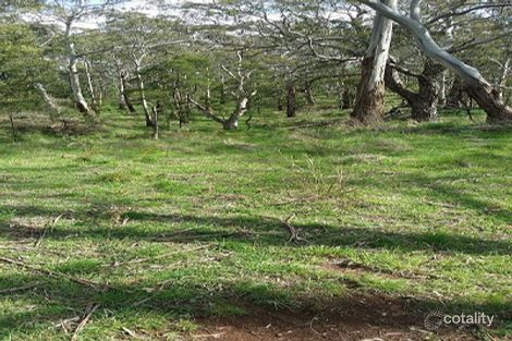 415 Scoullers Rd, Carpendeit, VIC 3260