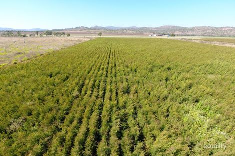 Property photo of 65790 Burke Development Road Dimbulah QLD 4872