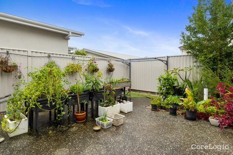 Property photo of 19 Trading Post Road Cooroy QLD 4563