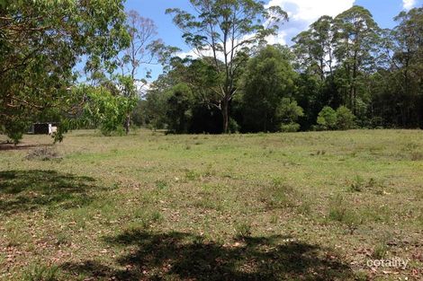 880 Markwell Back Rd, Markwell, NSW 2423