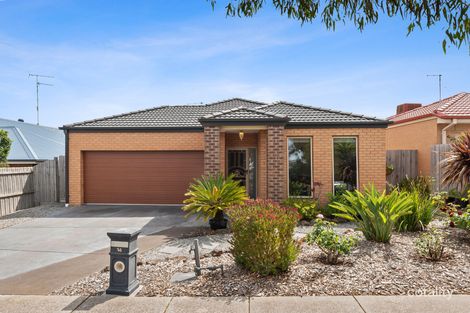 Property photo of 14 Pickworth Drive Leopold VIC 3224